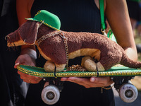 The 26th Dachshund March in Krakow, Poland on September 8th, 2024. After a few years break an annual parade  returned to the city with hundr...