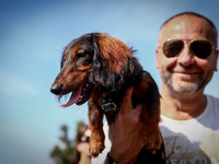 A dog and his owner attend the 26th Dachshund March in Krakow, Poland on September 8th, 2024. After a few years break an annual parade  retu...