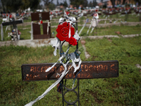 A tomb in yard 29 of the General Cemetery. Hundreds of people executed by the military dictatorship are clandestinely buried in this place i...