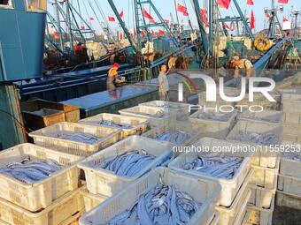 People buy seafood caught at Jimiya fishing port in Qingdao, Shandong province, China, on September 9, 2024. (