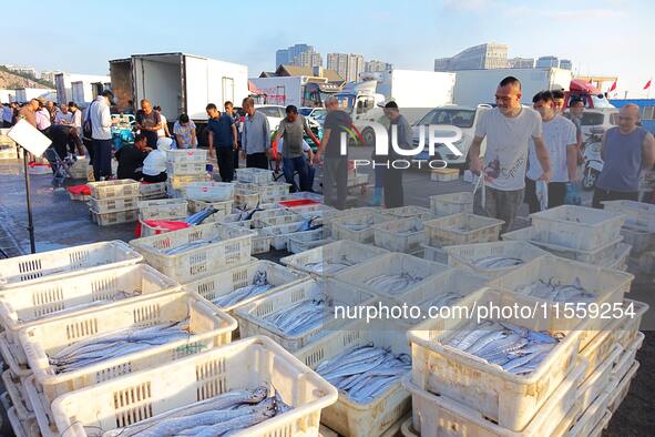 People buy seafood caught at Jimiya fishing port in Qingdao, Shandong province, China, on September 9, 2024. 