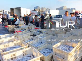 People buy seafood caught at Jimiya fishing port in Qingdao, Shandong province, China, on September 9, 2024. (