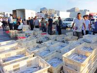 People buy seafood caught at Jimiya fishing port in Qingdao, Shandong province, China, on September 9, 2024. (