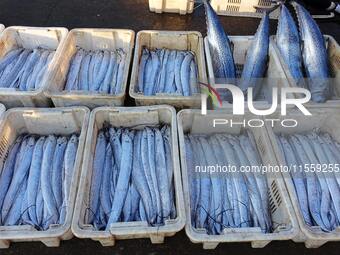 People buy seafood caught at Jimiya fishing port in Qingdao, Shandong province, China, on September 9, 2024. (