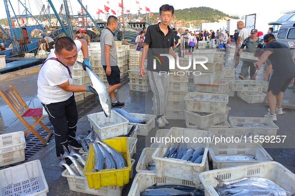 People buy seafood caught at Jimiya fishing port in Qingdao, Shandong province, China, on September 9, 2024. 