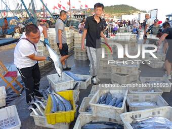 People buy seafood caught at Jimiya fishing port in Qingdao, Shandong province, China, on September 9, 2024. (