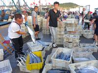 People buy seafood caught at Jimiya fishing port in Qingdao, Shandong province, China, on September 9, 2024. (