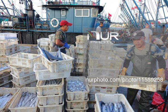 People buy seafood caught at Jimiya fishing port in Qingdao, Shandong province, China, on September 9, 2024. 