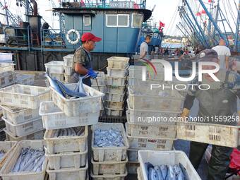 People buy seafood caught at Jimiya fishing port in Qingdao, Shandong province, China, on September 9, 2024. (