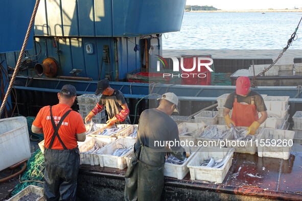 People buy seafood caught at Jimiya fishing port in Qingdao, Shandong province, China, on September 9, 2024. 