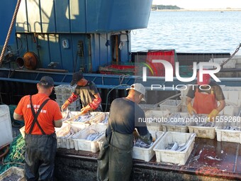 People buy seafood caught at Jimiya fishing port in Qingdao, Shandong province, China, on September 9, 2024. (