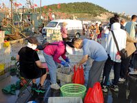 People buy seafood caught at Jimiya fishing port in Qingdao, Shandong province, China, on September 9, 2024. (