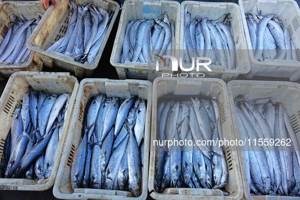 People buy seafood caught at Jimiya fishing port in Qingdao, Shandong province, China, on September 9, 2024. 