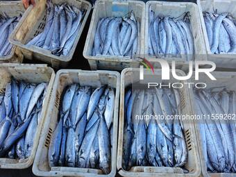 People buy seafood caught at Jimiya fishing port in Qingdao, Shandong province, China, on September 9, 2024. (