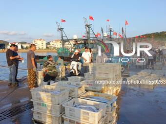 People buy seafood caught at Jimiya fishing port in Qingdao, Shandong province, China, on September 9, 2024. (