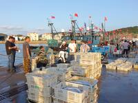 People buy seafood caught at Jimiya fishing port in Qingdao, Shandong province, China, on September 9, 2024. (