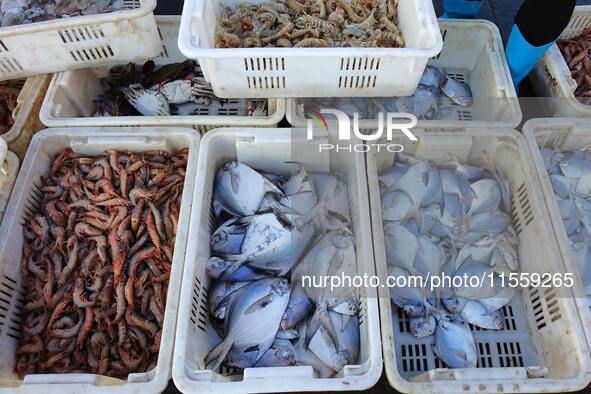 People buy seafood caught at Jimiya fishing port in Qingdao, Shandong province, China, on September 9, 2024. 