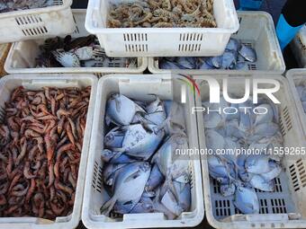 People buy seafood caught at Jimiya fishing port in Qingdao, Shandong province, China, on September 9, 2024. (