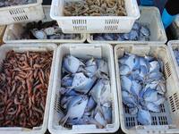 People buy seafood caught at Jimiya fishing port in Qingdao, Shandong province, China, on September 9, 2024. (