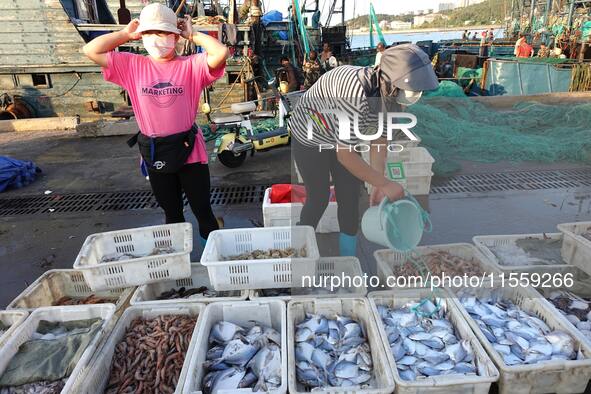 People buy seafood caught at Jimiya fishing port in Qingdao, Shandong province, China, on September 9, 2024. 