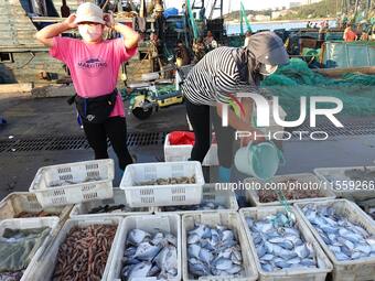 People buy seafood caught at Jimiya fishing port in Qingdao, Shandong province, China, on September 9, 2024. (