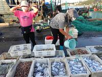 People buy seafood caught at Jimiya fishing port in Qingdao, Shandong province, China, on September 9, 2024. (