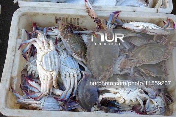 People buy seafood caught at Jimiya fishing port in Qingdao, Shandong province, China, on September 9, 2024. 