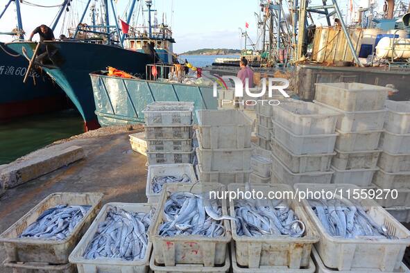 People buy seafood caught at Jimiya fishing port in Qingdao, Shandong province, China, on September 9, 2024. 