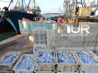 People buy seafood caught at Jimiya fishing port in Qingdao, Shandong province, China, on September 9, 2024. (