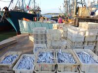 People buy seafood caught at Jimiya fishing port in Qingdao, Shandong province, China, on September 9, 2024. (