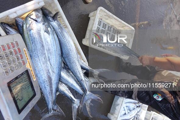 People buy seafood caught at Jimiya fishing port in Qingdao, Shandong province, China, on September 9, 2024. 