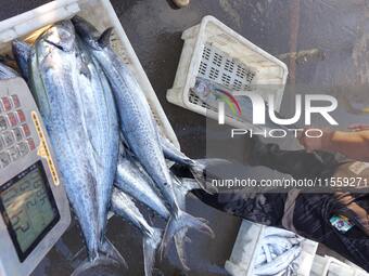 People buy seafood caught at Jimiya fishing port in Qingdao, Shandong province, China, on September 9, 2024. (