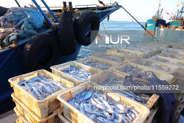 People buy seafood caught at Jimiya fishing port in Qingdao, Shandong province, China, on September 9, 2024. 