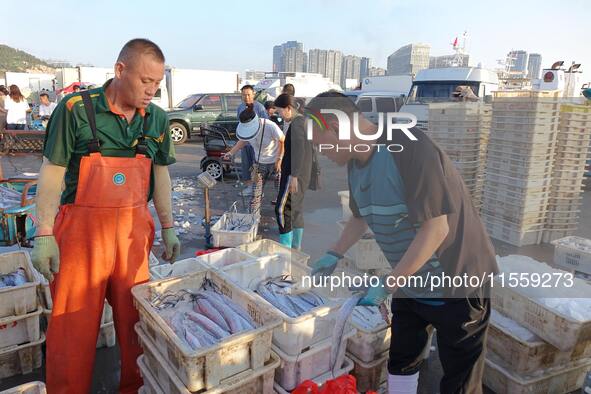 People buy seafood caught at Jimiya fishing port in Qingdao, Shandong province, China, on September 9, 2024. 