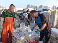 People buy seafood caught at Jimiya fishing port in Qingdao, Shandong province, China, on September 9, 2024. (