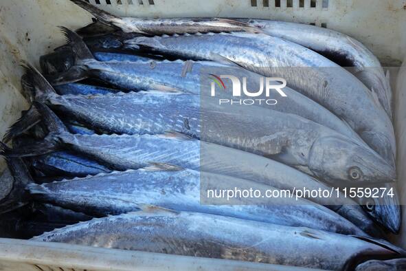 People buy seafood caught at Jimiya fishing port in Qingdao, Shandong province, China, on September 9, 2024. 