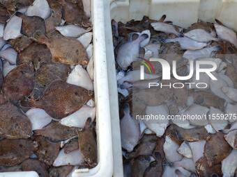 People buy seafood caught at Jimiya fishing port in Qingdao, Shandong province, China, on September 9, 2024. (