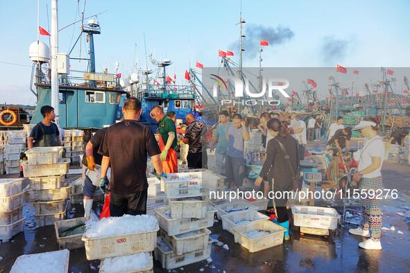 People buy seafood caught at Jimiya fishing port in Qingdao, Shandong province, China, on September 9, 2024. 