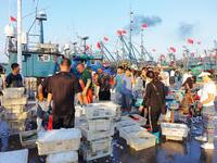 People buy seafood caught at Jimiya fishing port in Qingdao, Shandong province, China, on September 9, 2024. (