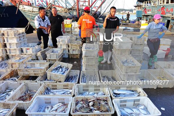 People buy seafood caught at Jimiya fishing port in Qingdao, Shandong province, China, on September 9, 2024. 