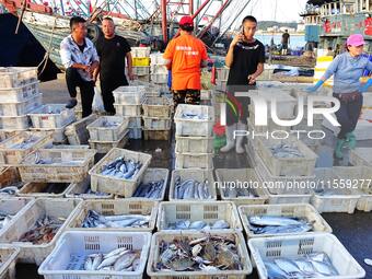 People buy seafood caught at Jimiya fishing port in Qingdao, Shandong province, China, on September 9, 2024. (