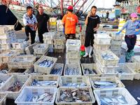 People buy seafood caught at Jimiya fishing port in Qingdao, Shandong province, China, on September 9, 2024. (