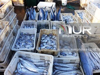 People buy seafood caught at Jimiya fishing port in Qingdao, Shandong province, China, on September 9, 2024. (