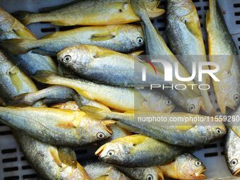 People buy seafood caught at Jimiya fishing port in Qingdao, Shandong province, China, on September 9, 2024. (