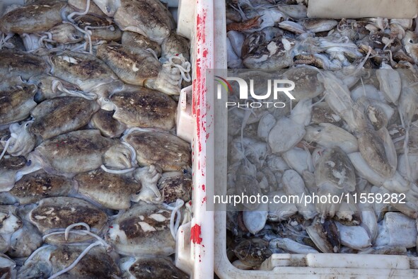 People buy seafood caught at Jimiya fishing port in Qingdao, Shandong province, China, on September 9, 2024. 