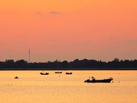 A fishing boat rides in Tangdao Bay illuminated by the rising sun in Qingdao, China, on September 9, 2024. (