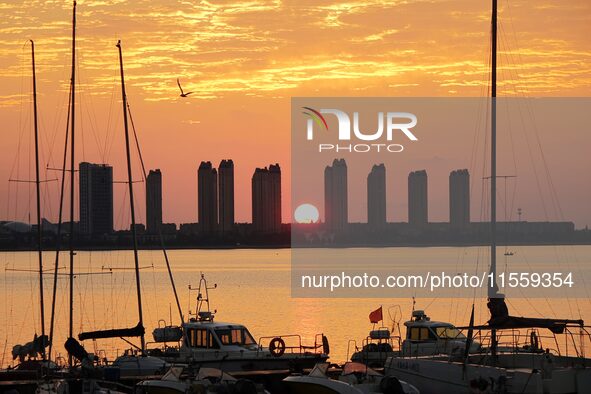 A fishing boat rides in Tangdao Bay illuminated by the rising sun in Qingdao, China, on September 9, 2024. 