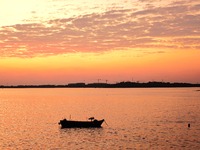 A fishing boat rides in Tangdao Bay illuminated by the rising sun in Qingdao, China, on September 9, 2024. (