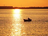 A fishing boat rides in Tangdao Bay illuminated by the rising sun in Qingdao, China, on September 9, 2024. (