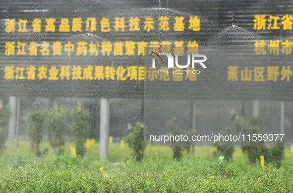 Dendrobium officinale seedlings are sprayed with water mist by an automatic water spraying facility at an agricultural park in Hangzhou, Chi...